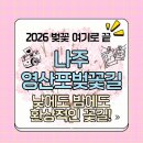 영산포가는길 | [2026 전남 벚꽃 명소] 낮과 밤이 모두 완벽한 '나주 영산포 벚꽃길' 방문 후기...