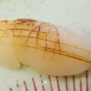 스시마코토 이미지