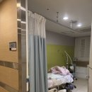 장내앞천 | [출산일기] 호산여성병원 유도분만 후기 | 박예진 원장님 | 제왕절개 엔딩