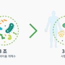 에이치엘산업 이미지