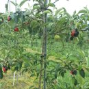 유목농장 이미지