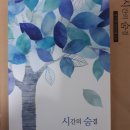 평천초교 이미지