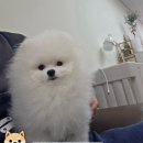 늘봄아로마테라피 이미지