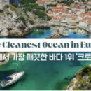 동서울카써비스 이미지