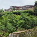 미림황토별펜션 이미지