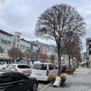 청와대목장 | 단양구경시장 | 단양여행코스추천 주차 정보 및 먹거리 &amp; 흑마늘소금빵 리뷰