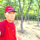 목동생활용품전문점
