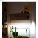 네추럴카페추추앤제제 이미지