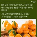 레드향 이미지