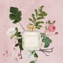 로사약국 이미지