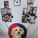 덕분이야모든개 이미지