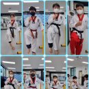 온가람태권도장 이미지