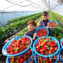 맛.보이소 이미지