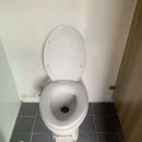 모구리야영장(체력단련장) 이미지