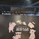 꿈돈168(모현점) | 장유 꿈돈168을 다녀온 솔직 후기(무계점)
