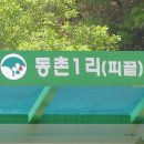 피끝마을 이미지