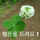 크로버 이미지