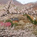 광명농원 이미지