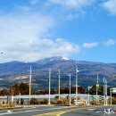 산록남로 이미지