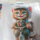 자전거탄고양이