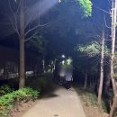 PT크림 | 일산 그룹 PT 러닝 클래스에서 버터런 경험 후기
