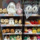 대전 롯데백화점 7층 교보문고 팝업, 성심당 쇼핑, 탑텐 쇼핑