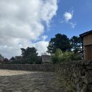 두화목장 | 애월 가볼만한곳 제주양떼목장카페 후기 | 제주투어패스 무료입장