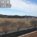 왕벚꽃나무길 네이버블로그