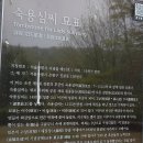 청송심씨 묘역靑松沈氏 墓域 | 숙용심씨 묘표(淑容沈氏 墓表) - 서울특별시 기념물 제25호