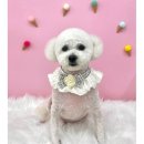 숭구리댕댕 이미지