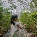 선바위농장 이미지