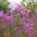 내곡동637 이미지