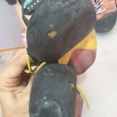 슈마스터클라이밍