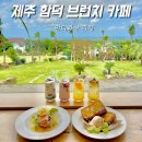 스테이만디 | 제주 함덕 브런치 카페 만디와산 조천 가볼만한곳