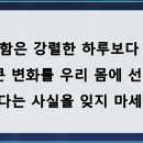 빅세일마트 | 체력 관리를 위해 처음 문을 열고 들어가는 사람들을 위한 마음가짐