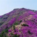 영취산국밥 - 여수시 망양로 1270 | 영취산국밥