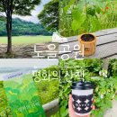 주원앤코 유한회사 | 집에서 키운 도토리 씨앗, ‘집씨통’, 노을공원으로 돌려보내기(ft.라떼 맛집, 메이븐 커피 로스터스)