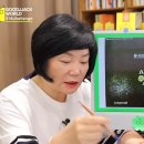 새벽가치