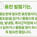 오행쑥뜸기 이미지