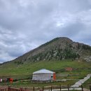 초원본가 | 몽골 울란바토르 4. 말과 함께 초원을 달리는 인생이란