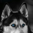 화성반월중학교 이미지