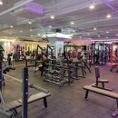 고고PT & 헬스 이미지