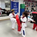 나라차 중계 태권도장 | 협회 표준교육과정 적용 우수사례 ATS태풍태권도장 탐방🏆(나라차태권도 은행사거리태권도 중계본동...