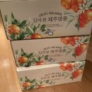 [제주] 귤림청과 (제주동문시장) 천혜향 구입 내돈내산 솔직후기