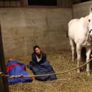 챔프이야기 이미지