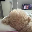 [조이아워x드이베x무피x썸메르x더수트옴므] 어벤저스 출동한 제주웨촬 후기가 와쓰요