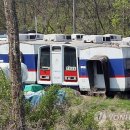 금수원 이미지