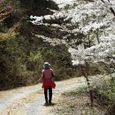 보성강5 이미지