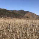 용준농장 네이버블로그