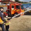 조안초등학교 이미지